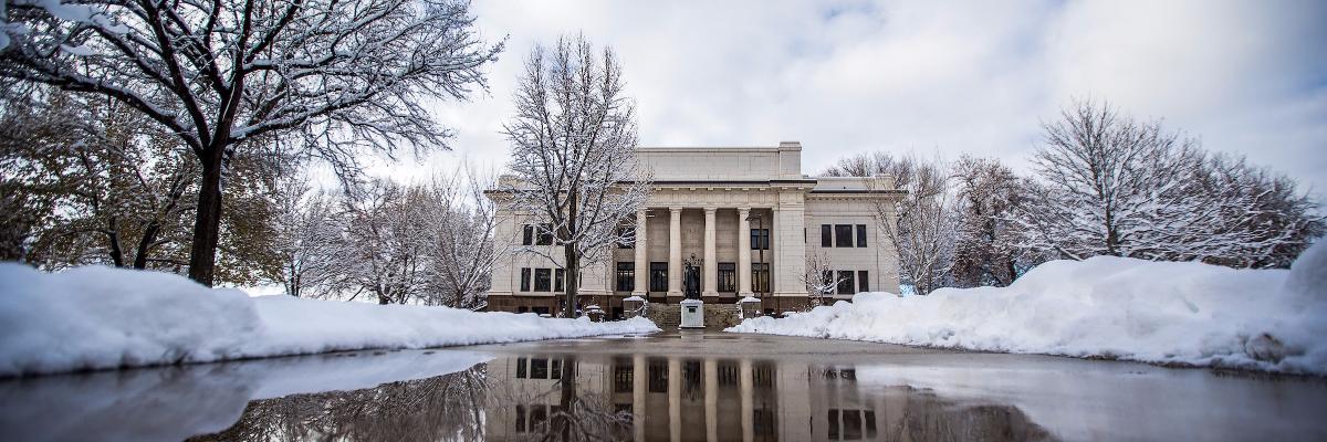 Alisha Redelfs banner