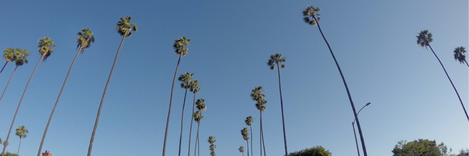 CraigCalifa's profile banner image
