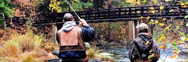 cbodish Profile Banner