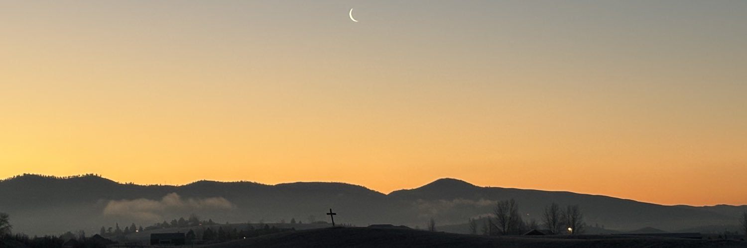 noahalee's profile banner image