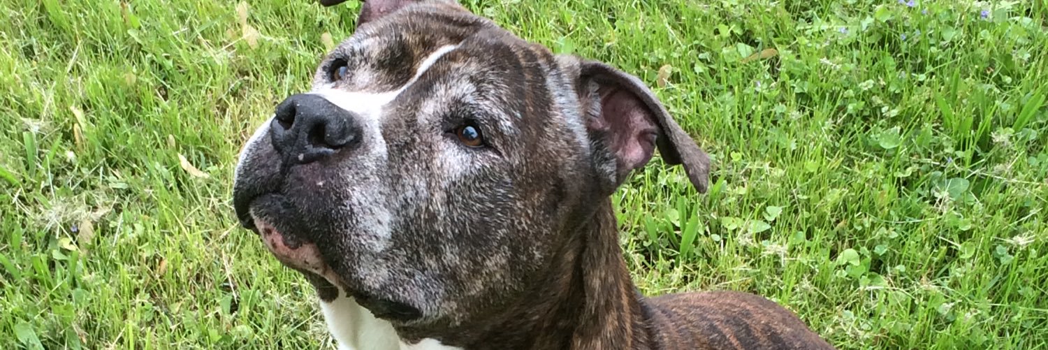 @ ZEITGEIST !!! banner