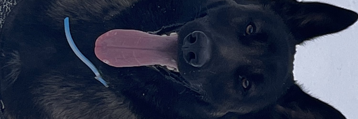 ChonchoIvan1's profile banner image