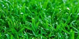 TheLindsayBusby's profile banner image