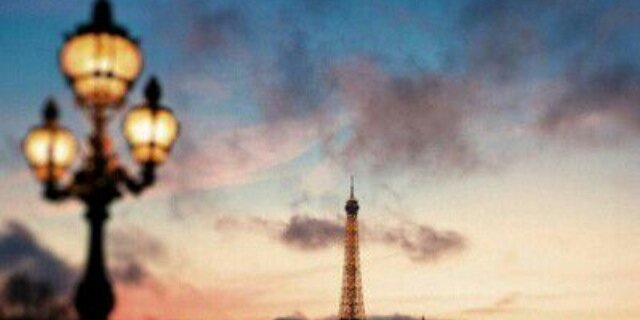 zoesgdr's profile banner image
