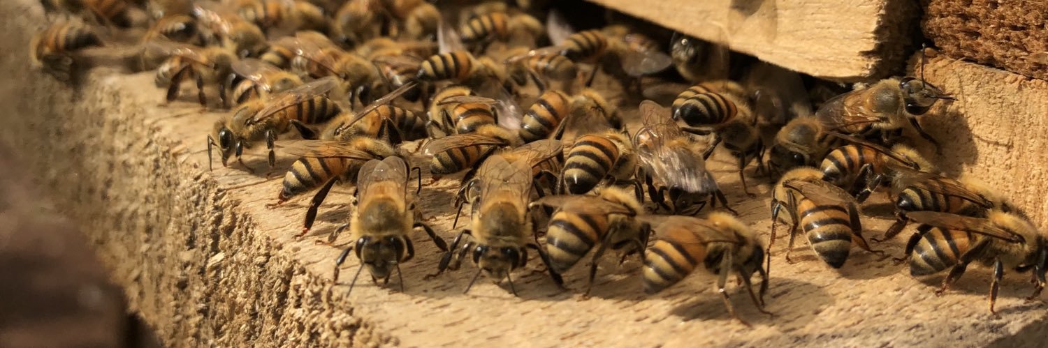 Kailend banner