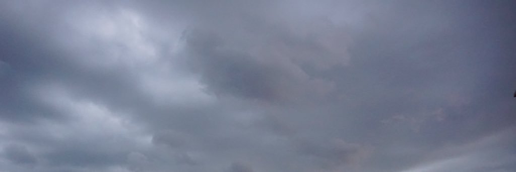 devynalia_'s profile banner image