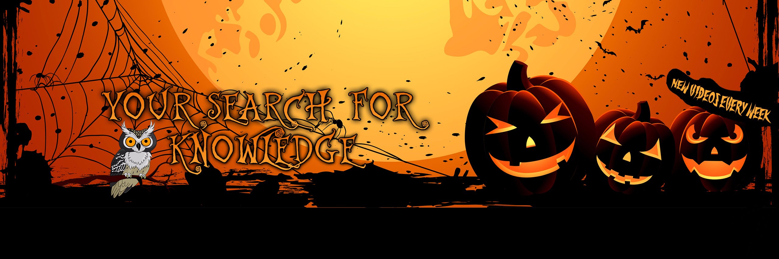 Top 5 Unknowns banner