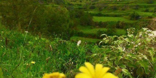 amal5033's profile banner image