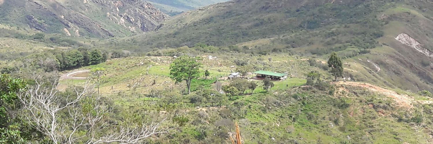 wigoso's profile banner image