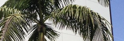 KeylaKaylaKeyla's profile banner image