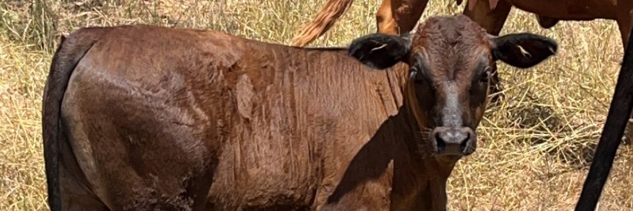 Nathan Purswell banner