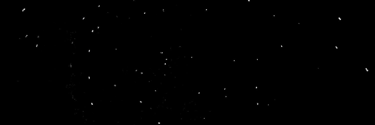 chaselang9's profile banner image