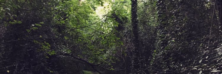 Lu_galeano's profile banner image