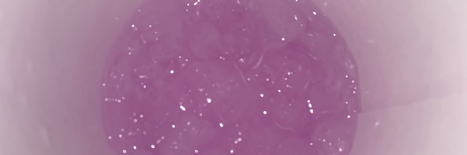 newbagtoday's profile banner image