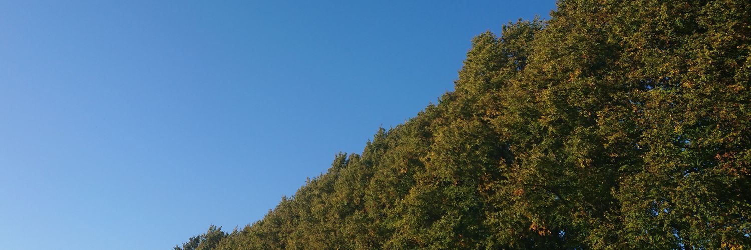 churlish borookers banner