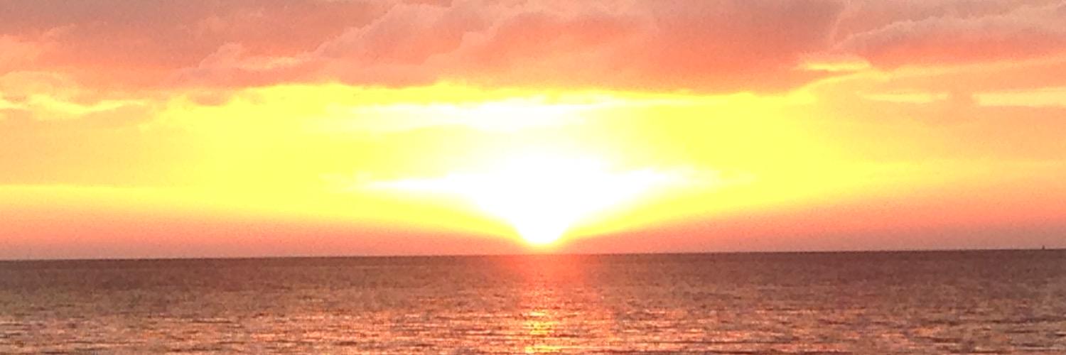 TraceCoughlin's profile banner image
