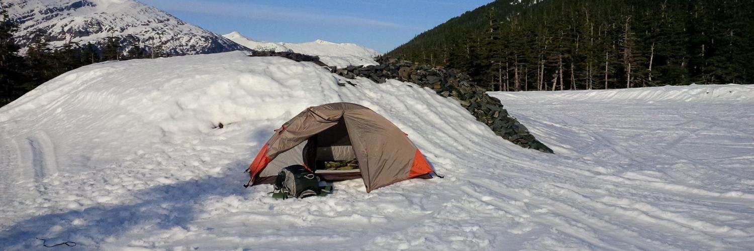 PrinceSquiggly banner