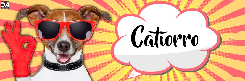 brcatiorro's profile banner image