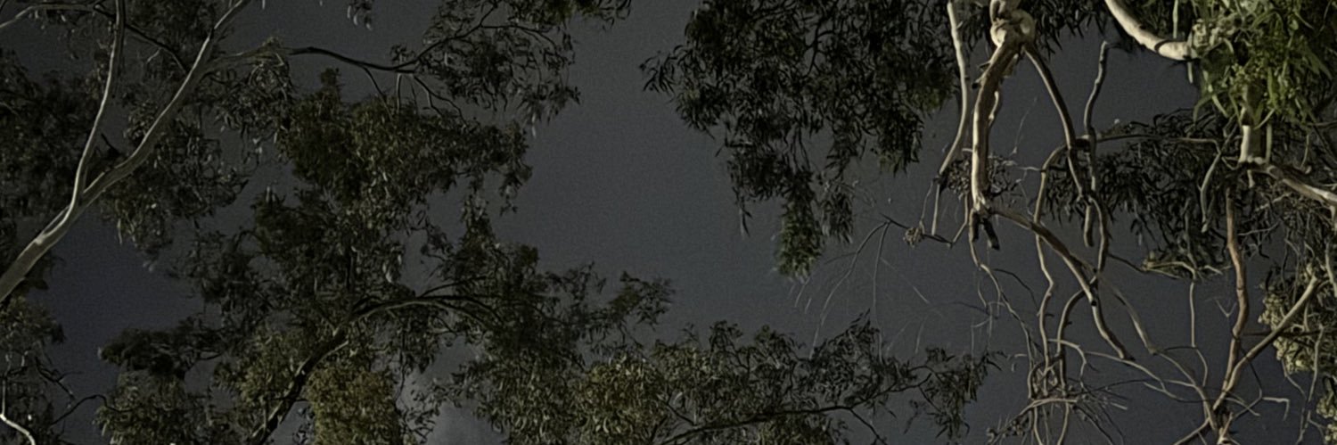 _9yxs's profile banner image