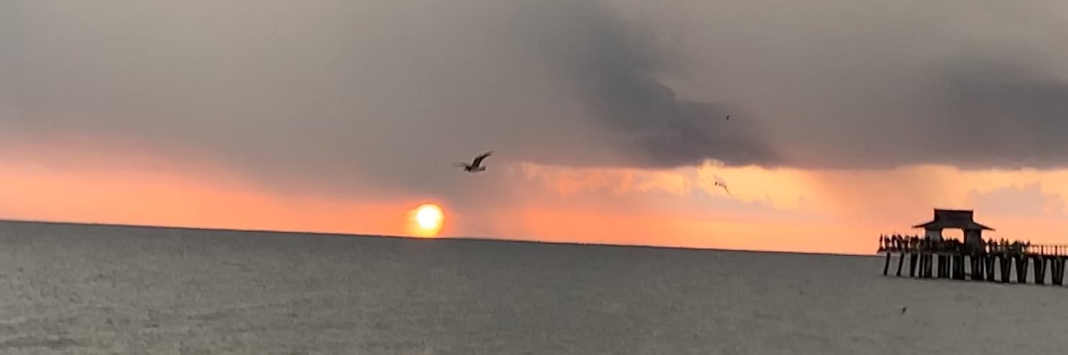wfkiii's profile banner image
