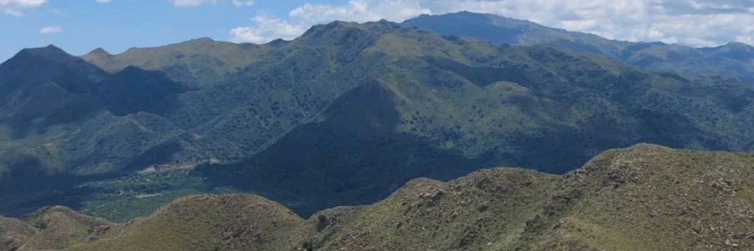 PameMFernandez's profile banner image