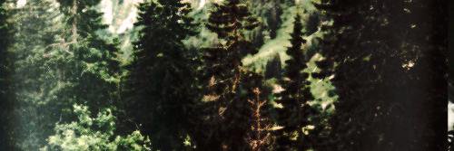skywcIker's profile banner image