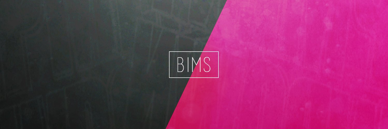 BimsBackup's profile banner image