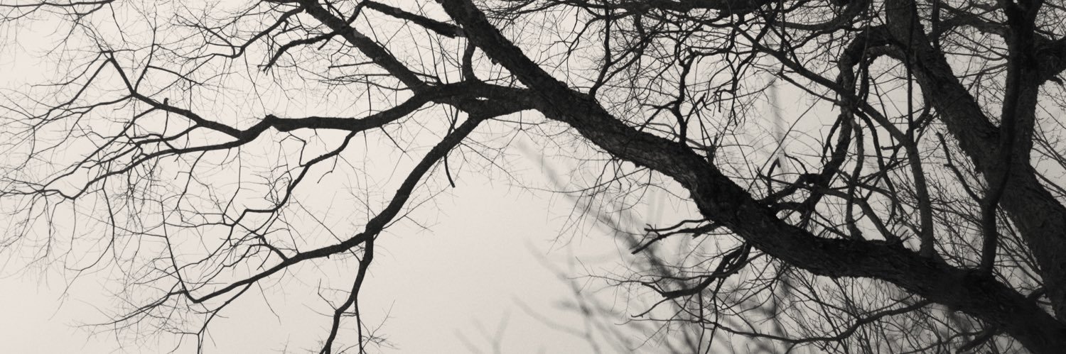 Sean_Temple's profile banner image