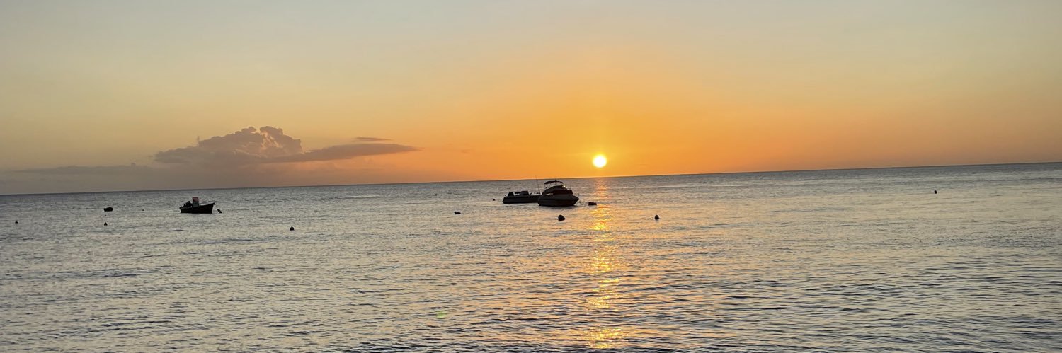 anne cha ☀️ banner