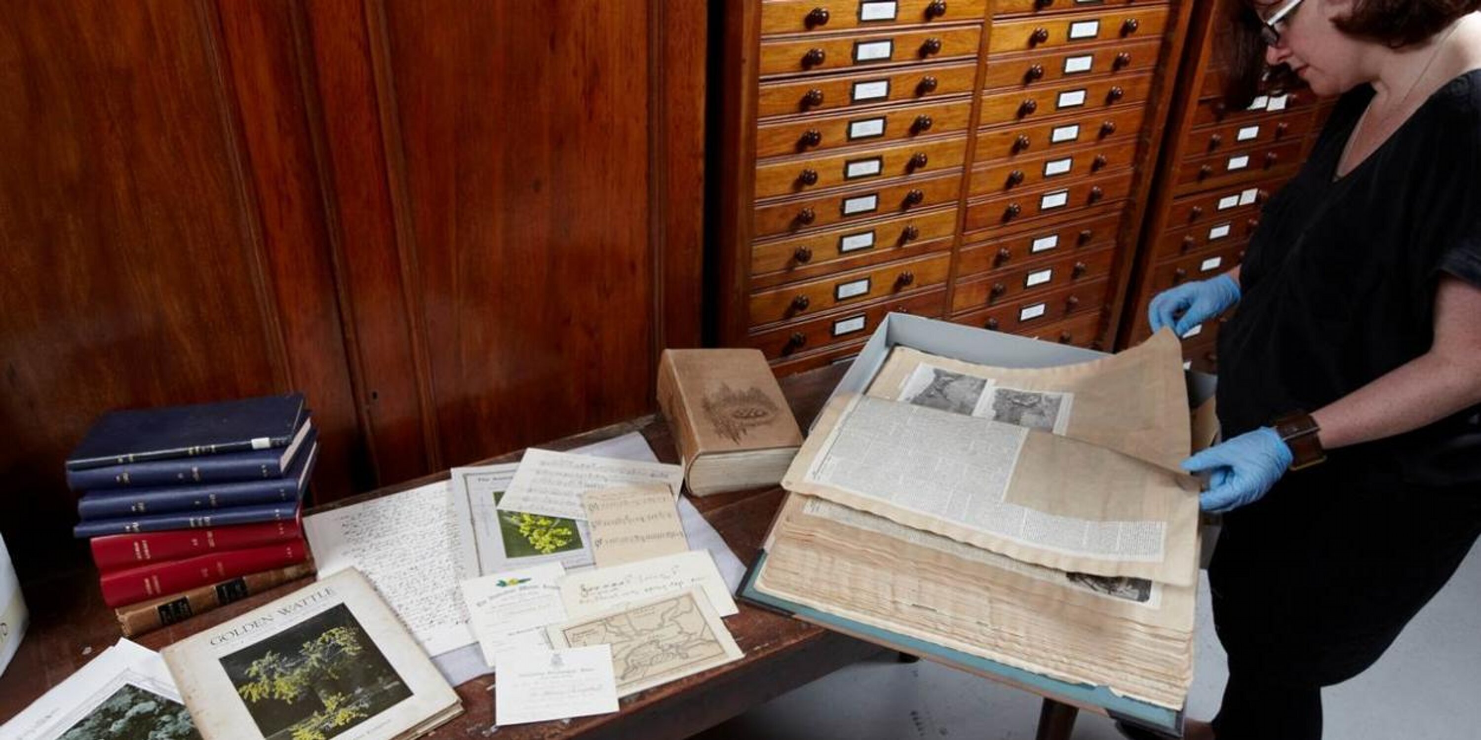 Rebecca XXX SEX banner