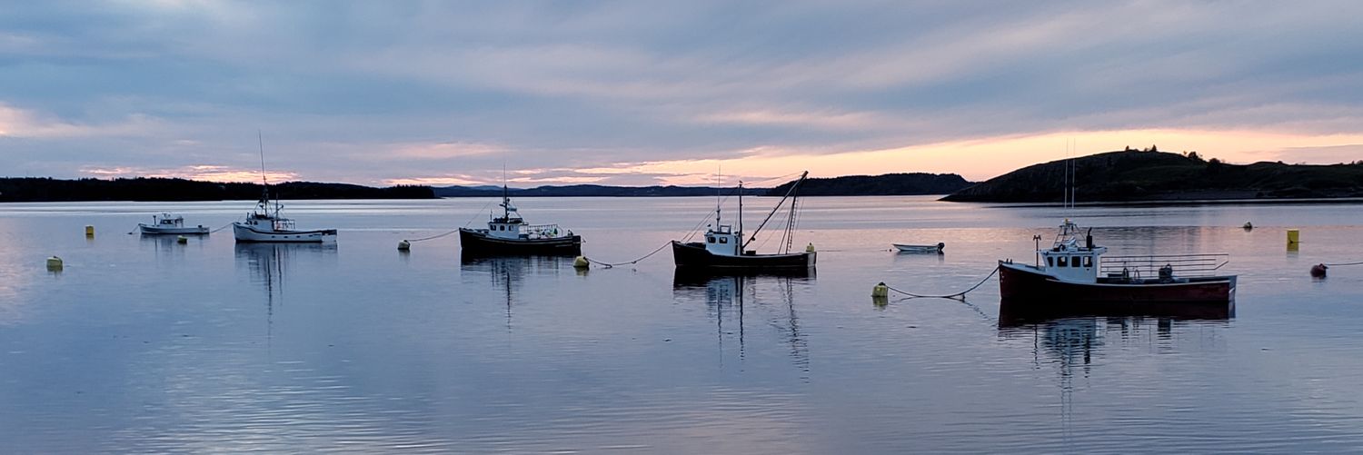 Dustin Wlodkowski banner