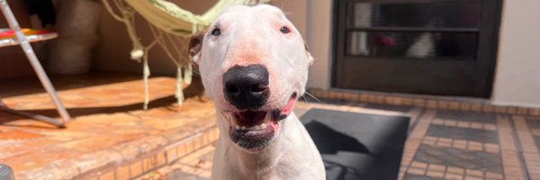 nandarinaz Profile Banner