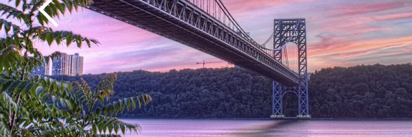 bee_nuh Profile Banner