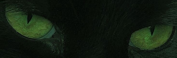 mistamichael_'s profile banner image