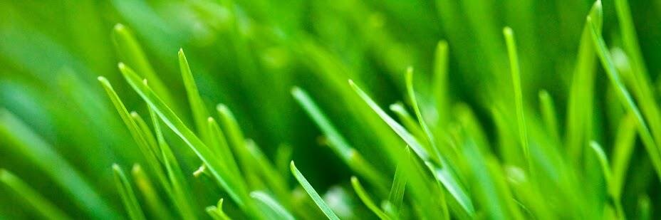 SamMarc_'s profile banner image