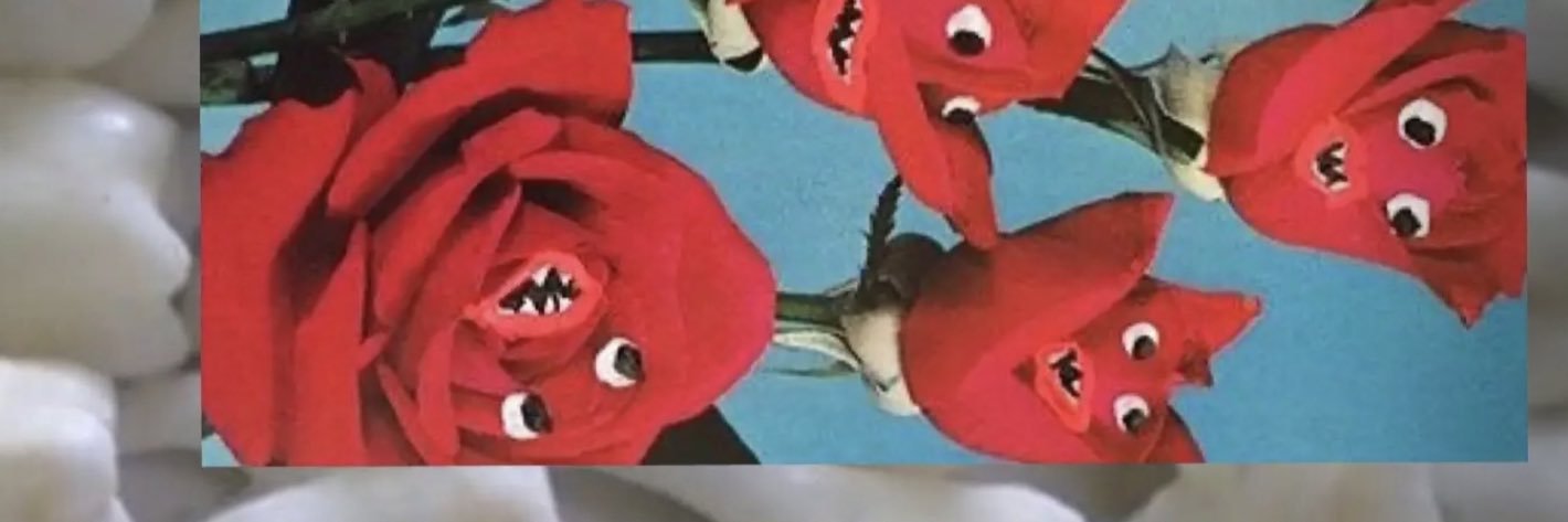 zzzzkatlyn's profile banner image