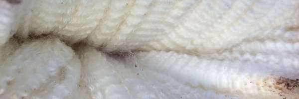 Kiandra111 Profile Banner