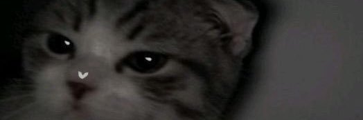 AleAlmendarez18's profile banner image