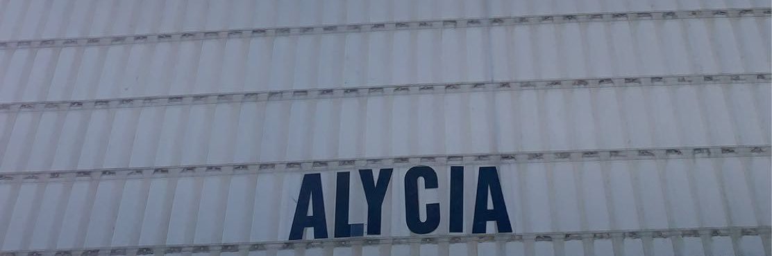 alyciaswan's profile banner image