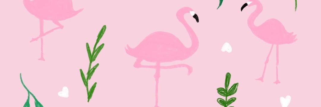 shifajsr's profile banner image