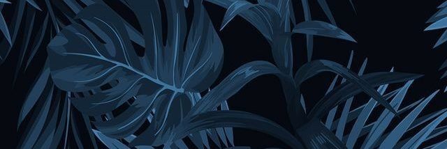 efrainmtlv's profile banner image