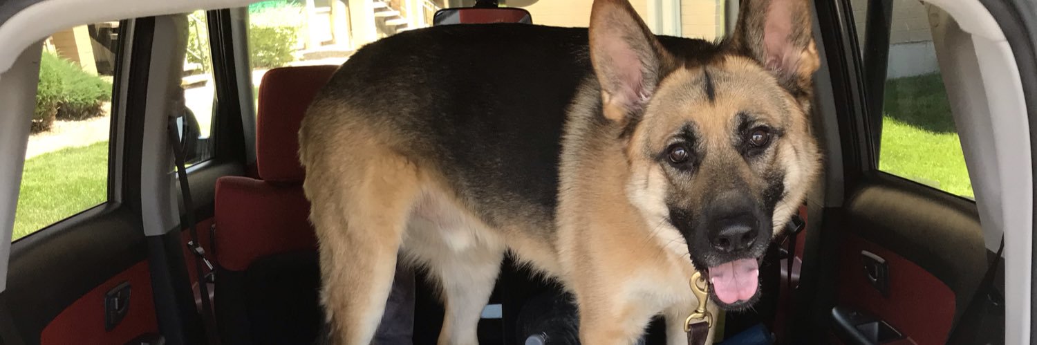 CassandraVierig's profile banner image