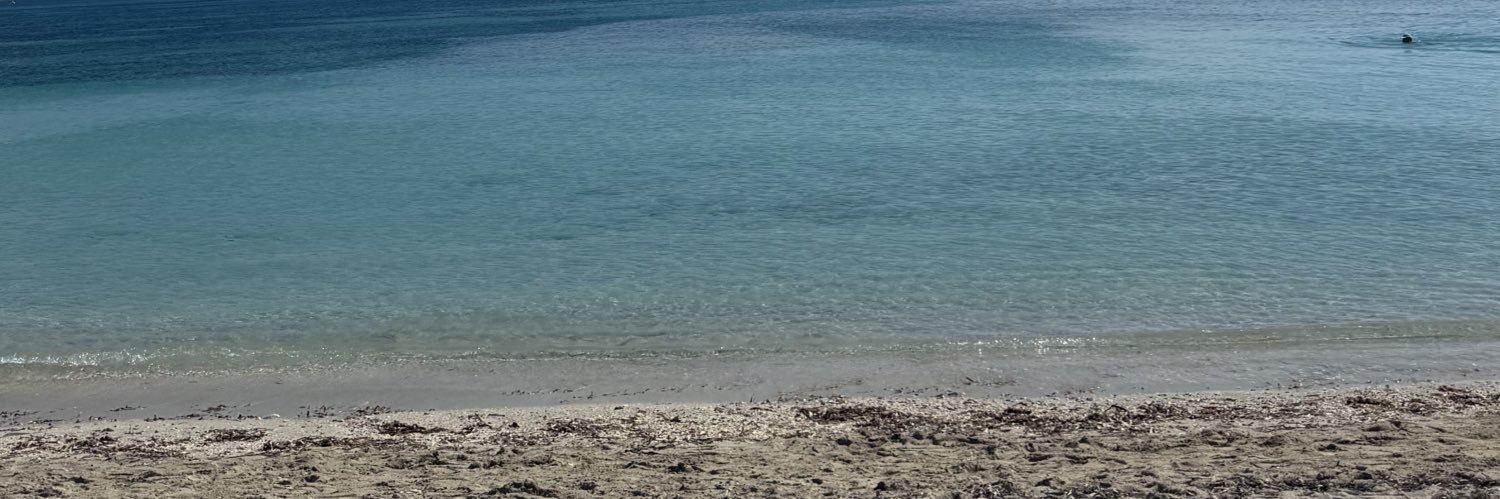 flormonto's profile banner image