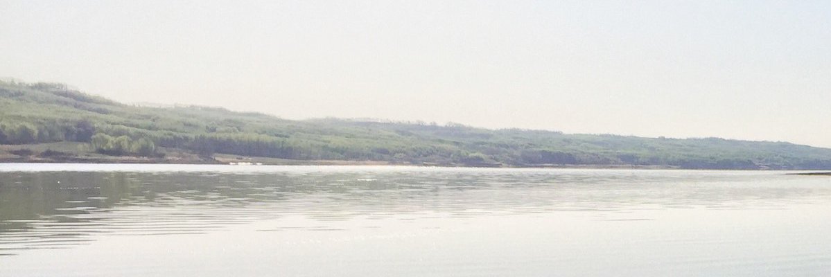Cary Hamel banner