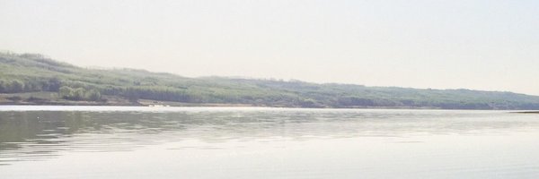 caryhamel Profile Banner