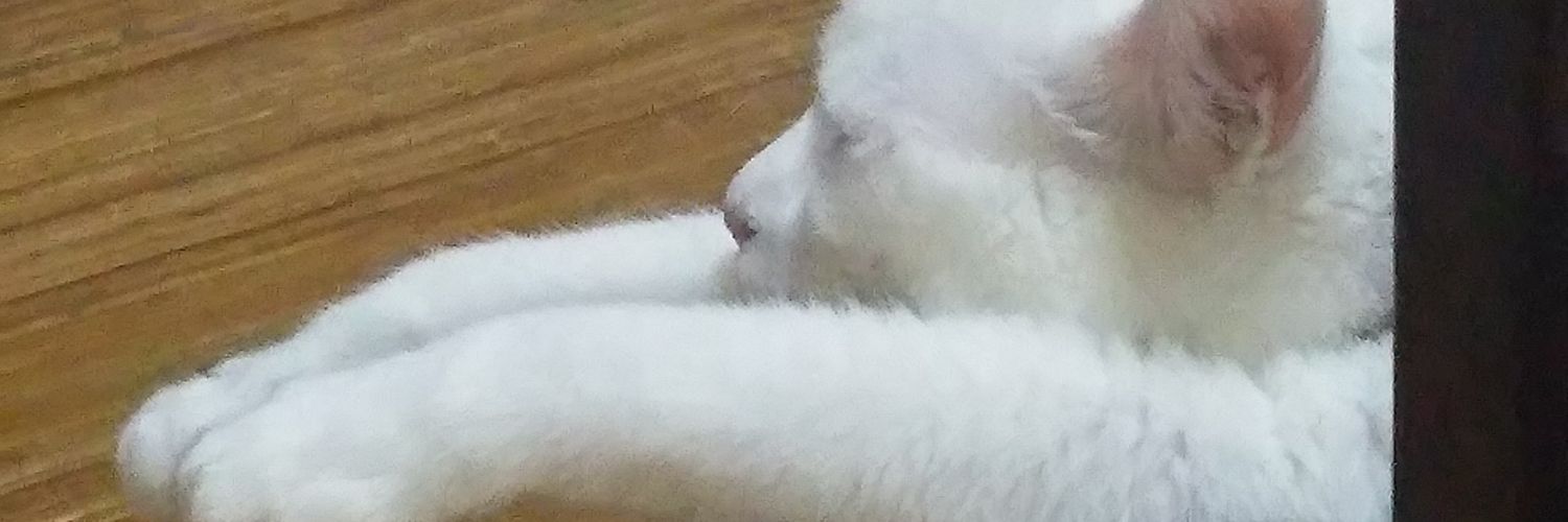 every43241's profile banner image