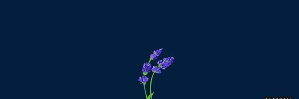 oxuxee's profile banner image