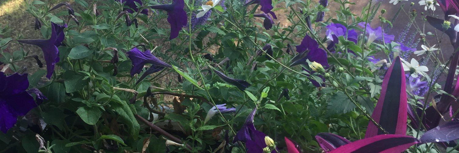GerardVolpatti's profile banner image