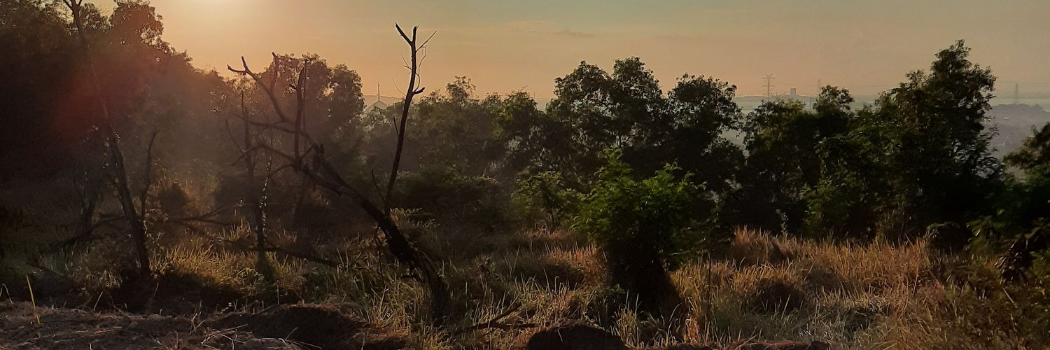 masmbadik's profile banner image