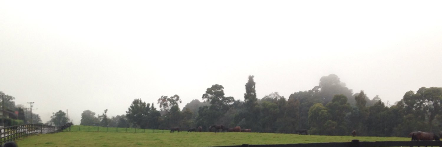 melvin799's profile banner image